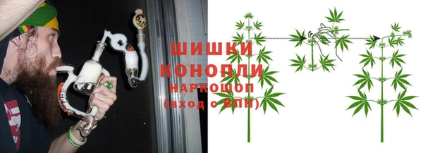 бошки Алексин