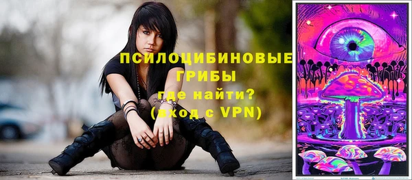 амф Алзамай