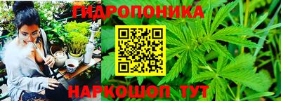 mix Лесосибирск
