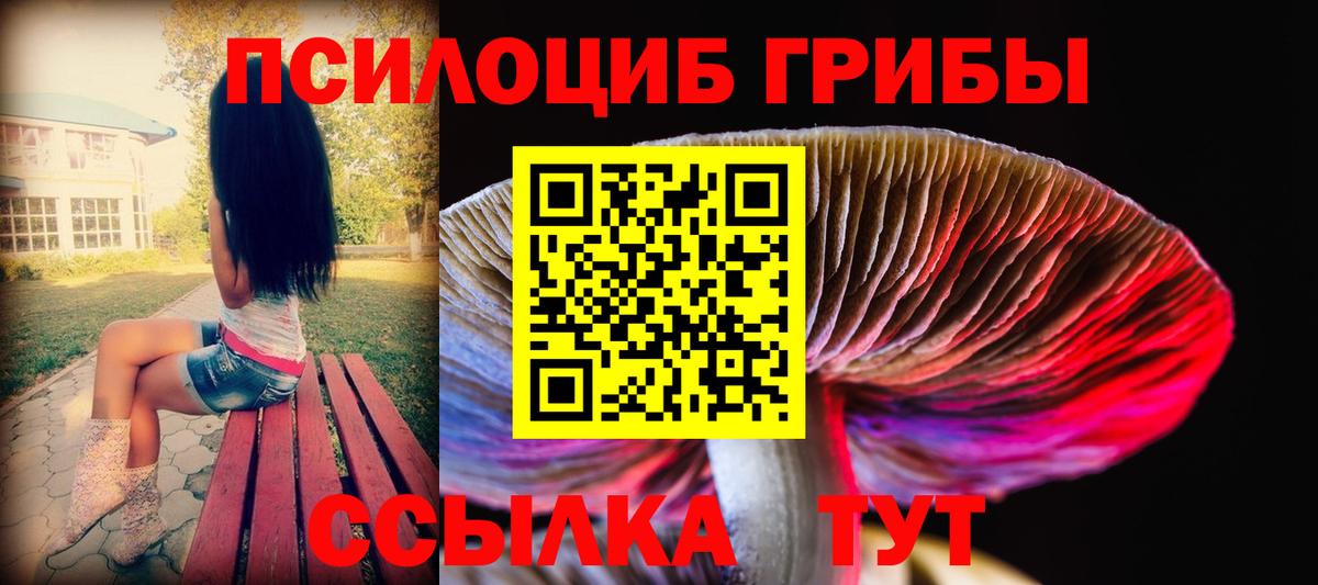 Ухта  Псилоцибиновые грибы мухоморы  Вход с VPN 